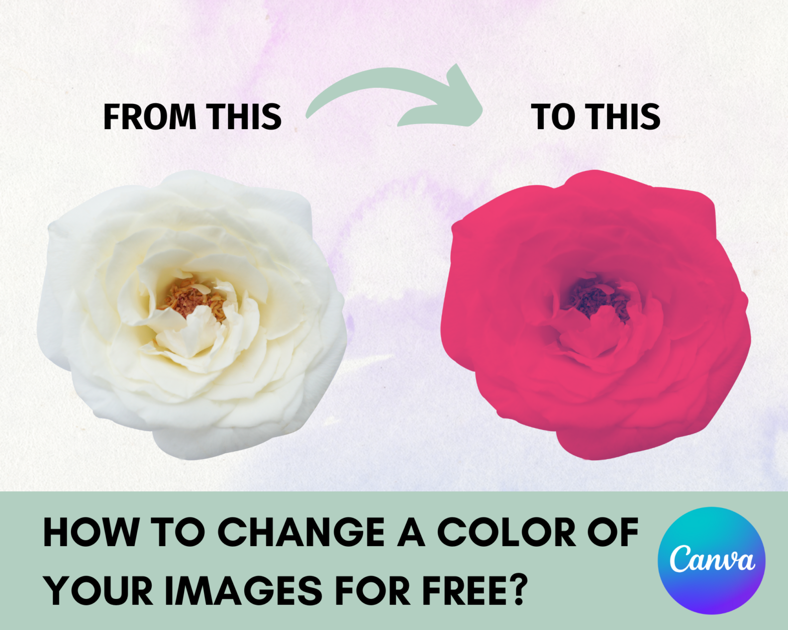 Thumbnail showing how a Canva user change change a image or graphics colors effortlessly in Canva through the color-changing Duotone process on an image for free.