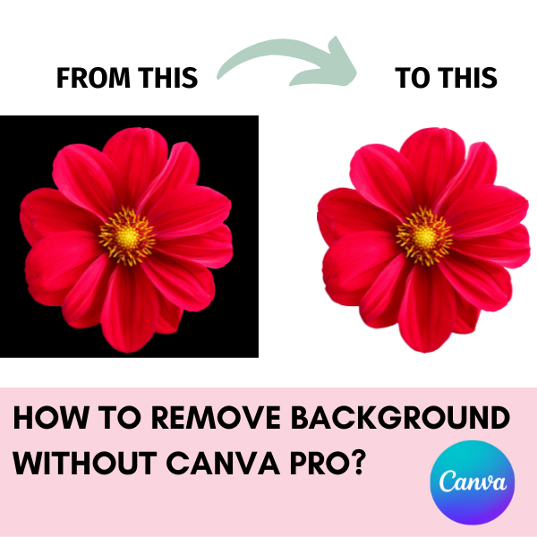 How to Remove Background without Canva Pro