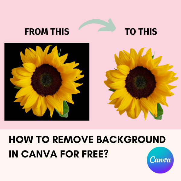 How to Remove Background in Canva for Free
