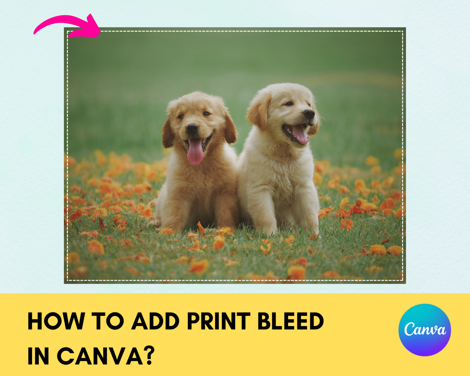 How to Add Bleed in Canva - Step-by-Step Guide"